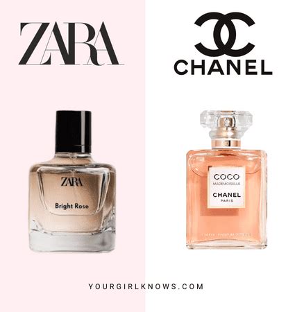 chanel 19 dupe perfume|zara perfume chanel dupe.